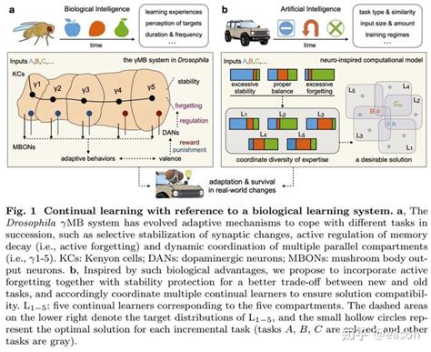 Arxiv Continual Learning Incremental Learning