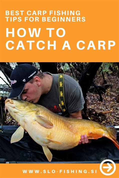 Best Carp Fishing Tips For Beginners And Pros Learn The Basics Of