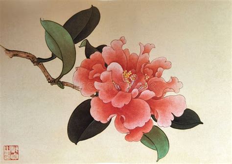 Antiga Pintura De Fã Chinesa Camellia Flores Florais Flor Flor Flor