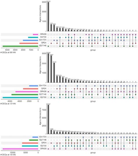 Transcriptional Reprogramming During Striga Germination An Upset Plot