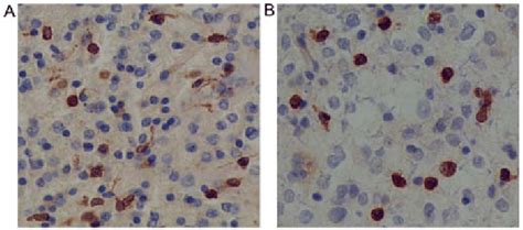 Immunohistochemical Staining For A Cyclooxygenase And B Survivin