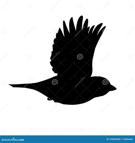 Realistic Sparrow Flying Monochrome Vector Illustration Of Black