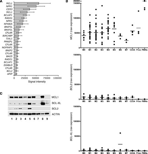 Figure From Mcl Haploinsufficiency Protects Mice From Myc Induced