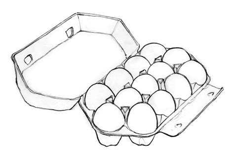 Eggs Drawing Picture Drawing Skill