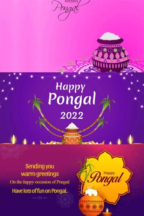 Happy Pongal Light Purple Background Hd Wallpaper