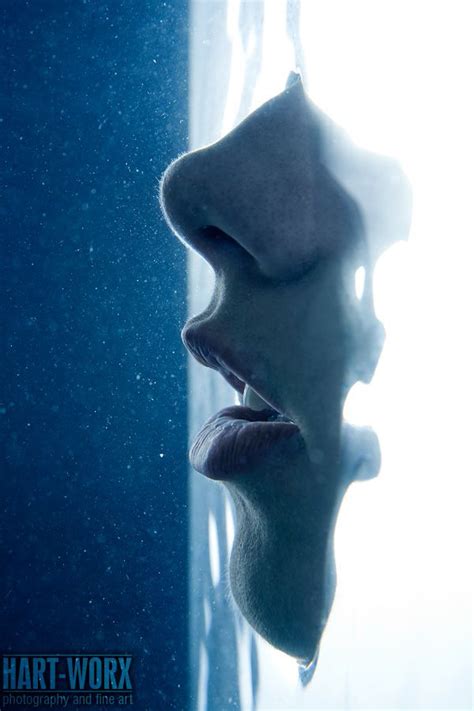 Underwater On Behance Underwater Human Silhouette Antonio Mora Artwork