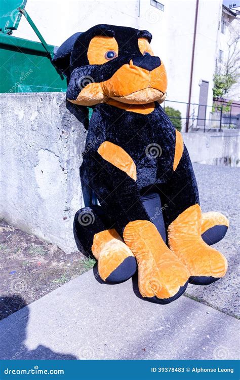 Sad Stuffed Dog Abandoned By Dumpter Stock Photo Image 39378483