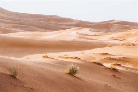 Quelle Est La Meilleure Saison Pour Visiter Marrakech Forgeorigin