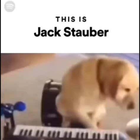 Perro Jack Stauber Meme Subido Por KermRetrasado Memedroid