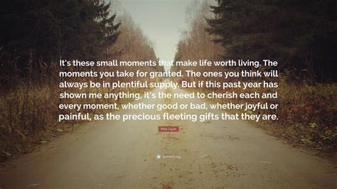 Mike Gayle Quote: “It’s these small moments that make life worth living