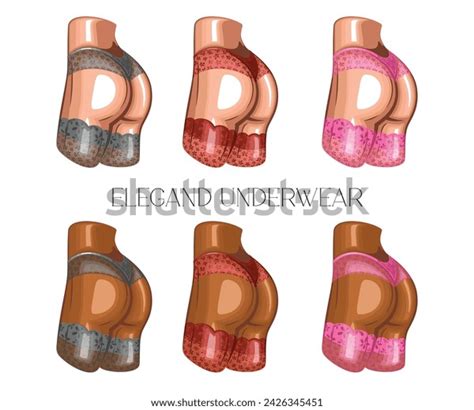 Sexy Woman Body Wearing Bikini Lace Stock Vector Royalty Free Shutterstock