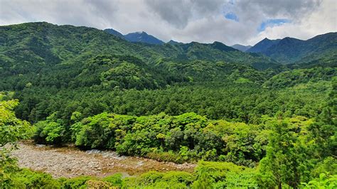 Hiking on Yakushima : r/japanpics