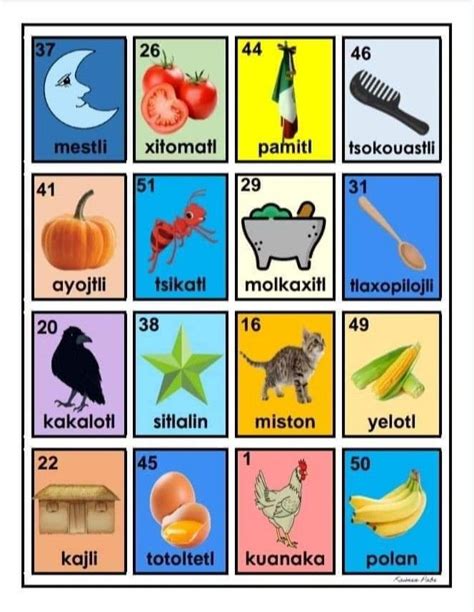 Lotería Náhuatl | Palabras en nahuatl, Loteria de animales, Cartas de