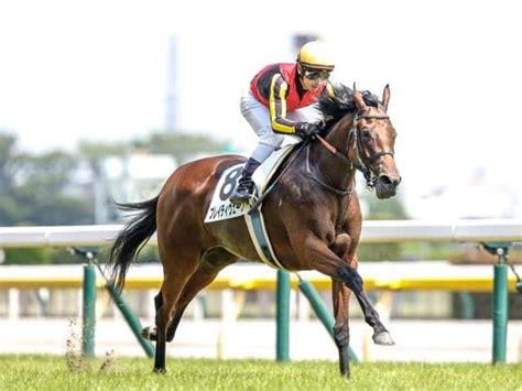 【ローズステークス2023】予想と一週前追い切り・調教評価 未勝利マニアの競馬予想