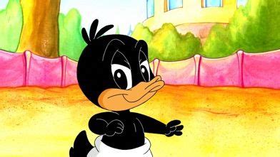 Baby Looney Tunes Vol 1 On ITunes Baby Looney Tunes Looney Tunes