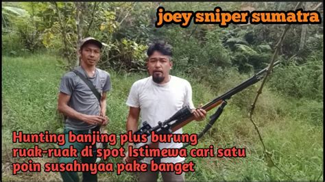 Joey Sniper Sumatra Hunting Bajing Plus Burung Ruak Di Spot Istimewa