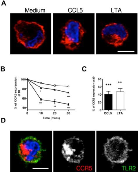 Lta Induces Slow Internalization Of Cell Surface Ccr5 Molecules