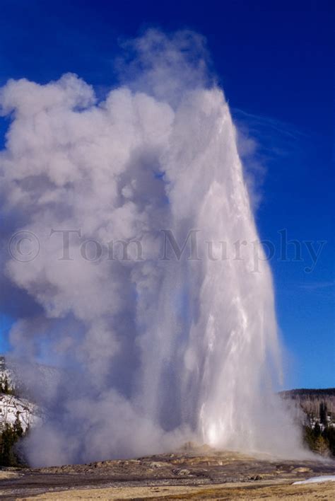 Old Faithful Eruption – Tom Murphy Photography