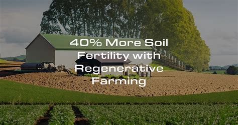 Enhancing Soil Fertility with Regenerative Farming