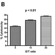 Nkg A And Nkg D Expression In Nk Cells Nkt Cells And T Cells A