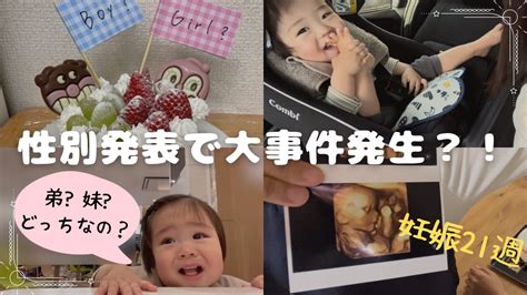 【歳の差きょうだい2児のママ】【妊娠21週】性別発表👶🏻初のジェンダリービールケーキ🎂で大事件⁉️13歳・1歳男の子 Youtube