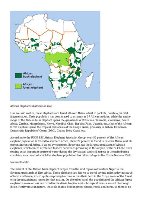 African Elephant Habitat