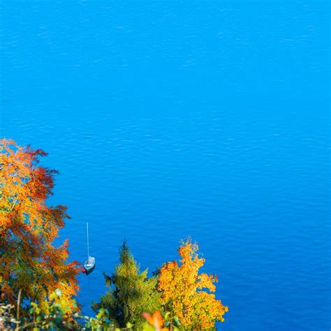 秋 自然 秋の色 Pixabayの無料写真