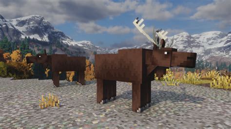 Bull And Cow Moose Blockbench Custom Model Medieval Unlimited Server