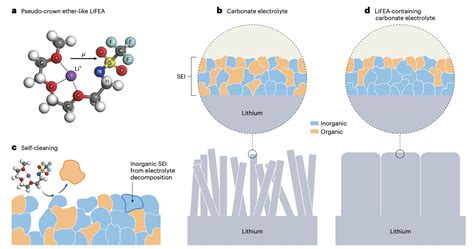 リチウム金属電池の性能を向上させる新しい自己洗浄塩分子