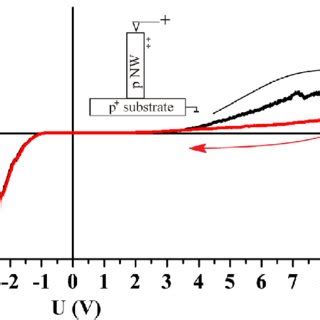 Shows The I V Curves Of Vertical P GaAs NWs Grown On A P GaAs