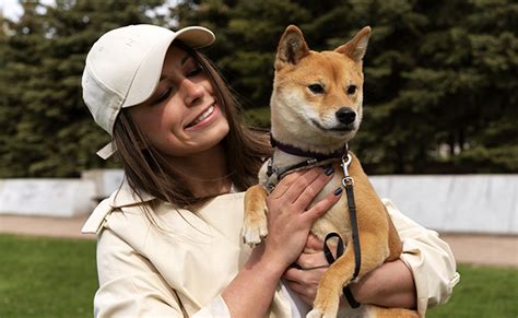 Droits Et Devoirs Dun Propriétaire De Chien