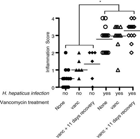 Blinded Scores Showing That Inflammation In All H Hepaticus Infected