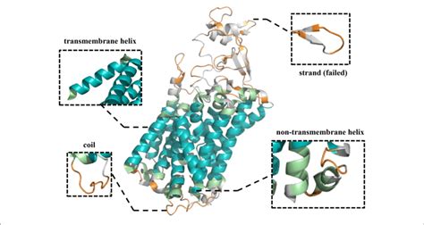 Visualization Of Secondary Structure And Topology Structure