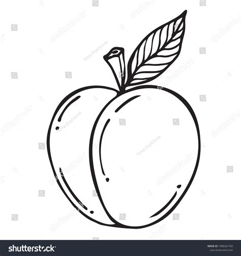 10599 Peach Icon Black Images Stock Photos And Vectors Shutterstock