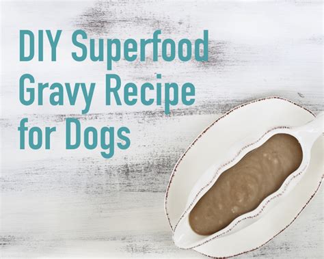 How Do I Make Gravy For My Dog: A Tasty Treat Recipe