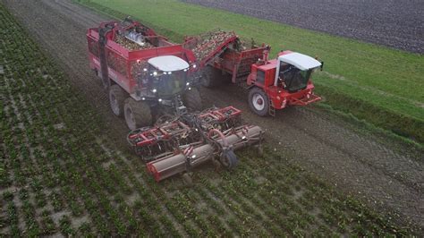 Row Sugarbeet Harvesting Agrifac Hexx Traxx Dewulf