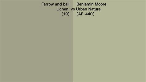 Farrow And Ball Lichen 19 Vs Benjamin Moore Urban Nature AF 440