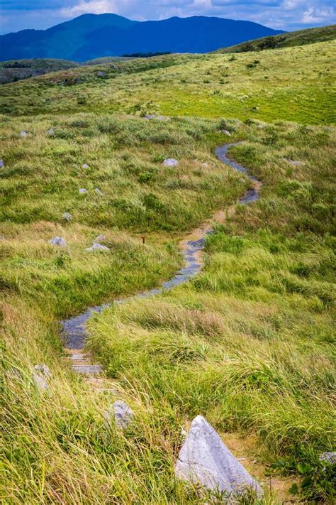 Summer Hiking Trail, Akiyoshidai Quasi-National Park Stock Image - Image of honshu, karst: 149996843