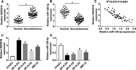 Snhg16 Was Significantly Upregulated In Nb Tissues And Cells The Download Scientific Diagram