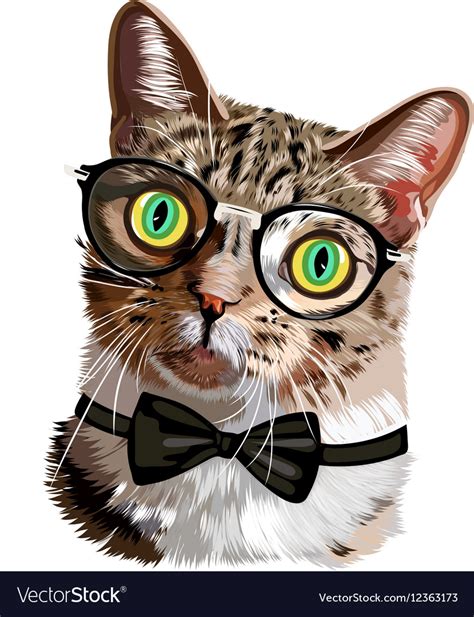 Hand Drawn Portrait Of Cat With Glasses And Bow Vector Image