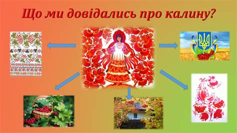 Презентація "Калина-одвічний символ України"