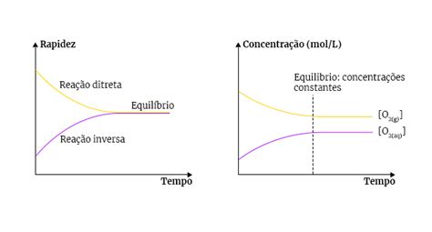 Equilíbrio Químico Definição E Características Vai Química