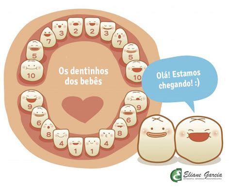 Ordem de nascimento dos dentes do bebê