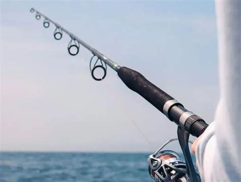 Florida Gulf Coast Fishing Report July 17 2024