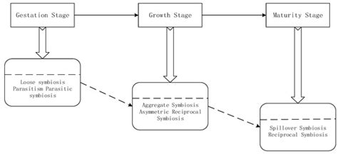 Sustainability Free Full Text The Composition And Operation