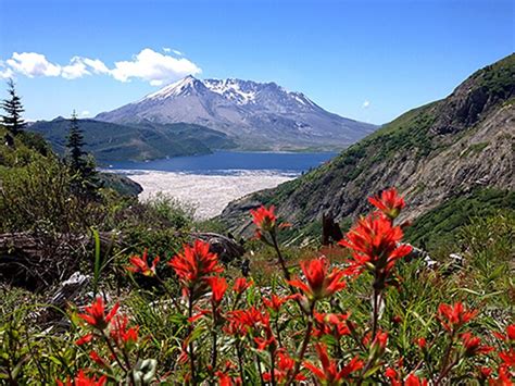 Day TourMt St Helens Natl Monument Evergreen Escapes