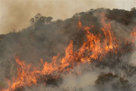 Fundación Greenpeace Argentina Humedales Y Cambio Climático ¿por Qué