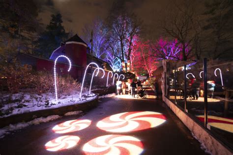 Wild Lights Returns to Elmwood Park Zoo - Elmwood Park Zoo