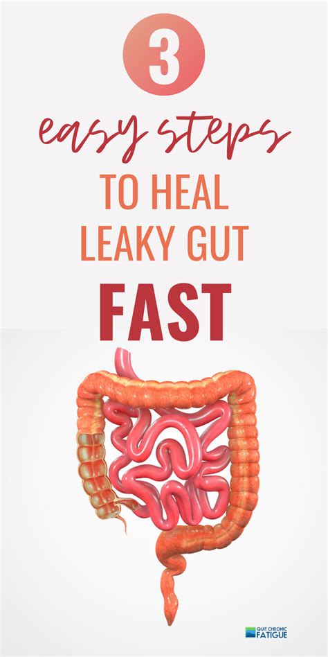 Best Foods To Heal Leaky Gut Artofit