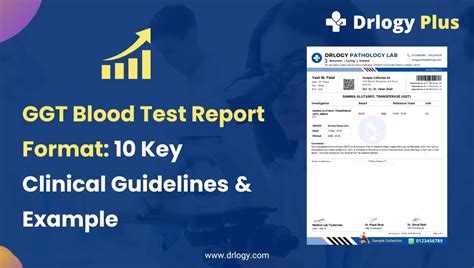 GGT Blood Test Report Format 10 Key Clinical Guidelines Example Drlogy